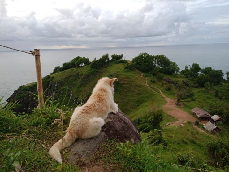 From Yogyakarta: Pengilon Hill Waterfall and Hidden Beaches - Good To Know
