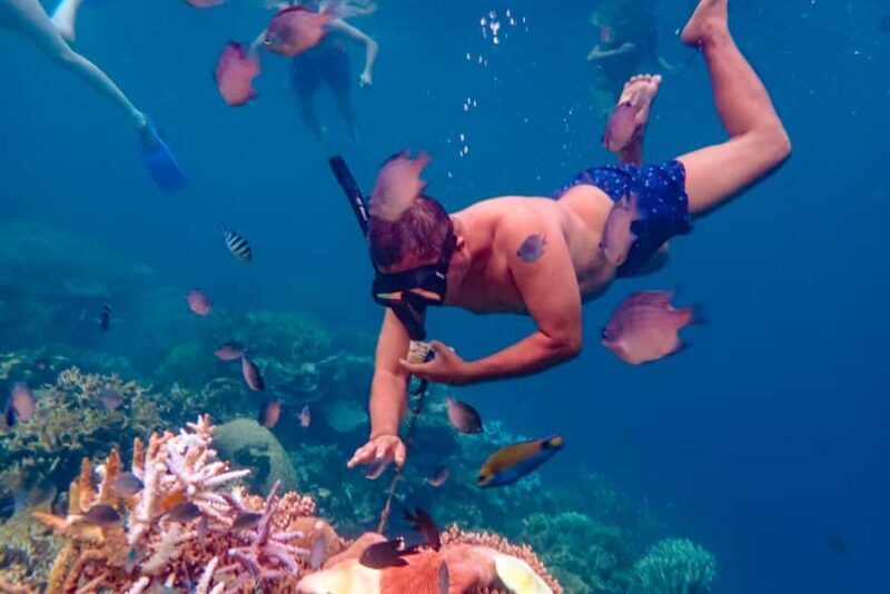 From Yogyakarta: Private 3-Day Karimunjawa Island Tour - Good To Know