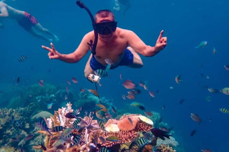 From Yogyakarta: Private 3-Day Karimunjawa Island Tour - What Makes This Tour Stand Out?