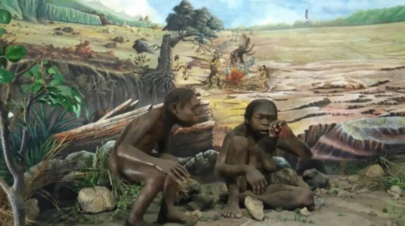 From Yogyakarta: Sangiran Museum and Early Man Site Tour - The Journey to Sangiran: What to Expect