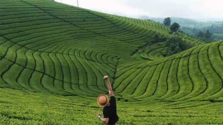 From Yogyakarta: West Java 3-Day Tour With Tea Plantation - Itinerary Details