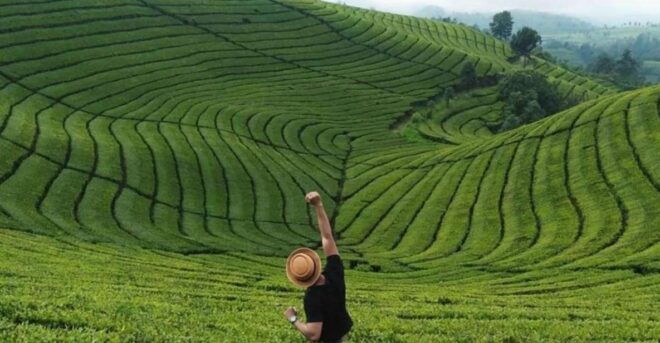 From Yogyakarta: West Java 3-Day Tour With Tea Plantation - Highlighted Experiences