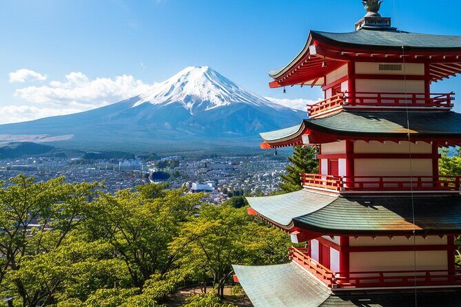 From Yokohama Port Arakurayama & G. Outlets 10 Hour Private Tour - Good To Know