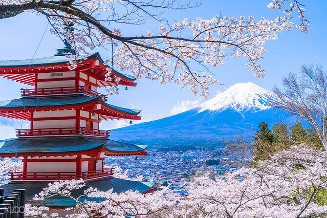 From Yokohama Port Arakurayama & G. Outlets 10 Hour Private Tour - Exploring the Itinerary in Detail