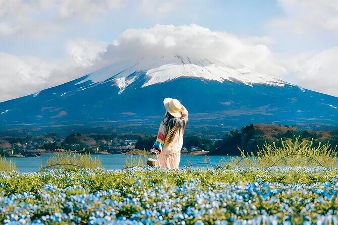 From Yokohama Port Arakurayama & G. Outlets 10 Hour Private Tour - Who Should Consider This Tour?