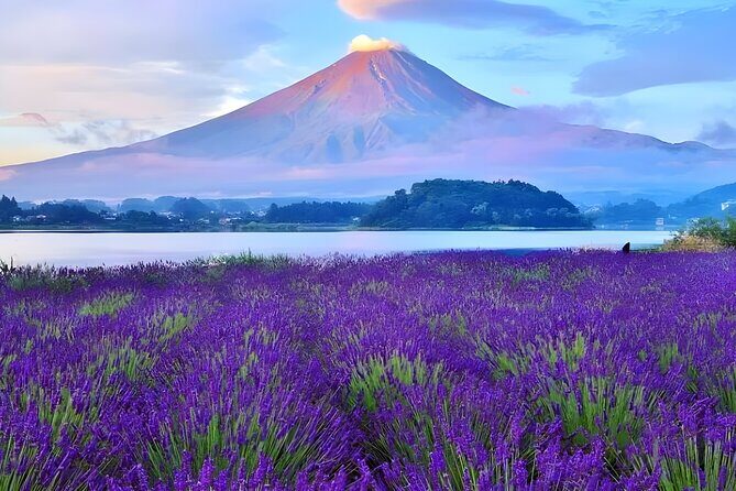 From Yokohama Port Arakurayama & G. Outlets 10 Hour Private Tour - Final Thoughts