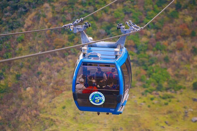 From Yokohama Port Hakone Ropeway & Lake Ashi 10Hour Private Tour - Exploring Hakone’s Natural Beauty and Cultural Gems