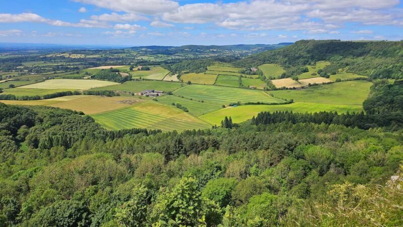 From York: North Yorkshire Moors, Whitby w/ Steam Train Ride - What to Expect from the Tour