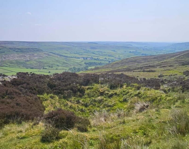 From York: North Yorkshire Moors, Whitby w/ Steam Train Ride - Who Would Love This Tour?