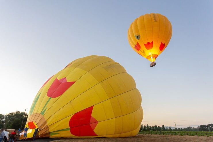 From Yountville: Napa Valley Sunrise Hot Air Balloon Flight - Experience