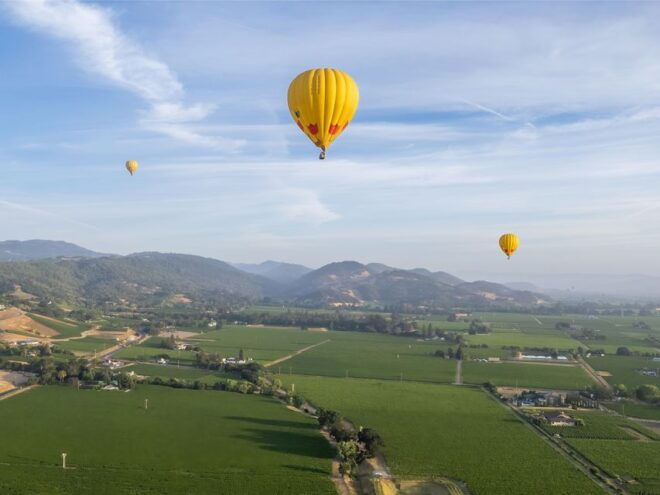 From Yountville: Napa Valley Sunrise Hot Air Balloon Flight - Full Description