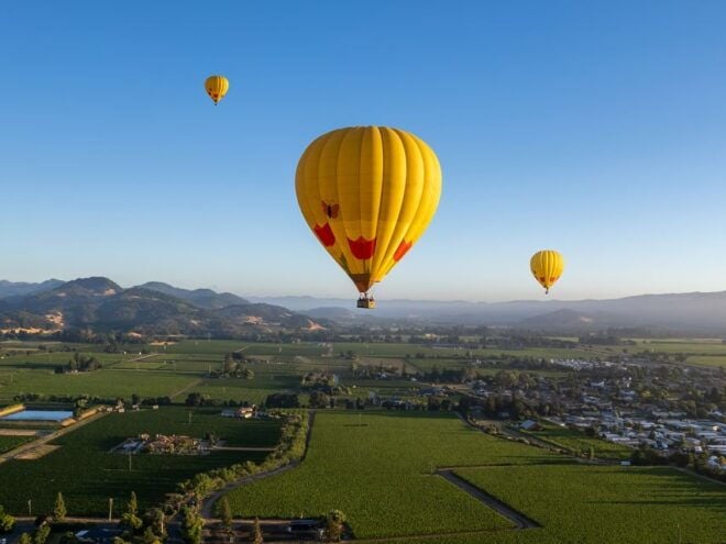 From Yountville: Napa Valley Sunrise Hot Air Balloon Flight - Additional Information