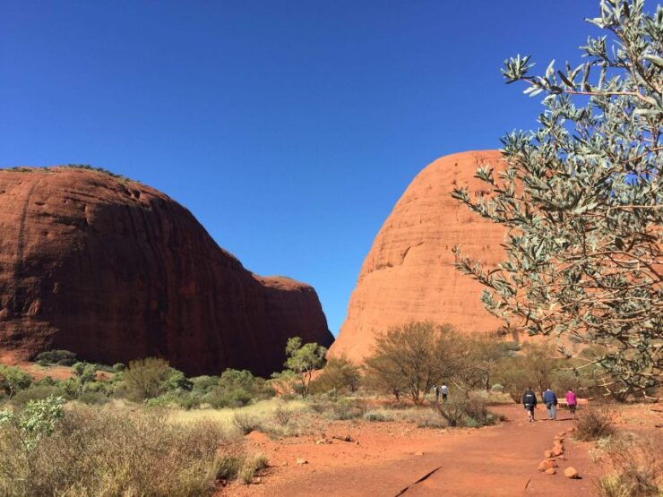 From Yulara: 3-Hour Small Group Kata Tjuta Afternoon Tour - Tour Details