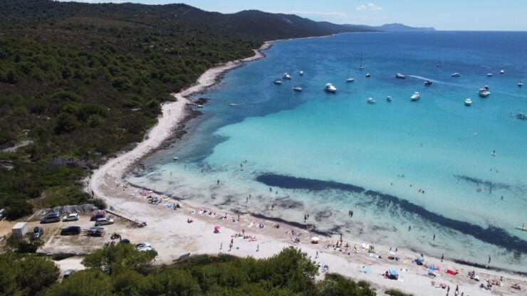 From Zadar: Full-Day Boat Trip to Sakarun Beach & Dugi Otok - Activity Details