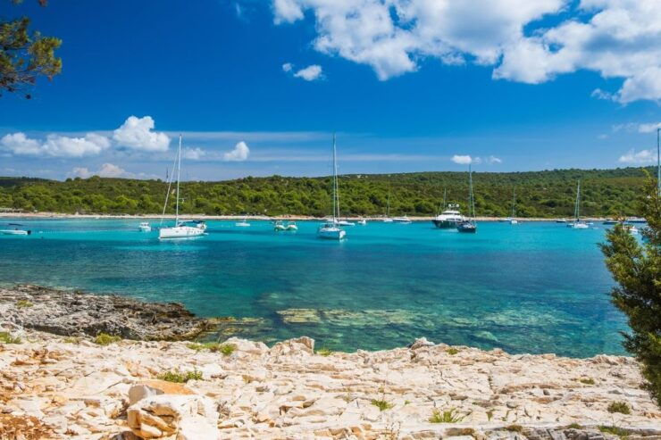 From Zadar: Full Day Trip to Saharun Beach by Private Boat - Experience Highlights