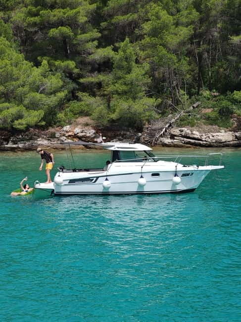 From Zadar: Half-day Boat Tour to the islands - Who Would Love This Tour?