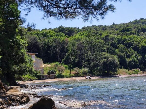 From Zadar: Half Day Island Tour Ugljan, Ošljak - Customer Experience
