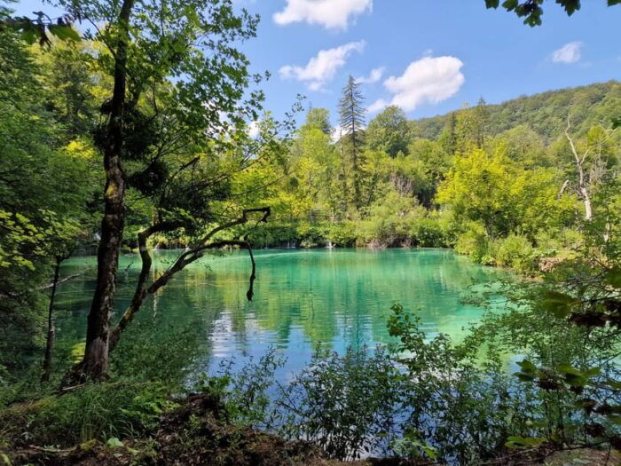 From Zadar: Plitvice Lakes Day Trip with Guide and Boat Tour - Is This Tour Good Value for Money?