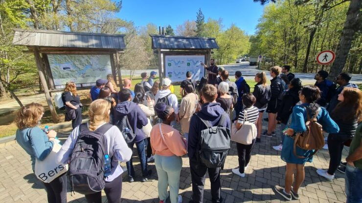 From Zadar: Plitvice Lakes Day Trip With Panoramic Boat Ride - Experience Highlights at Plitvice Lakes
