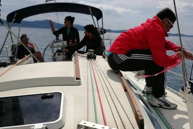 From Zadar: Private half day sailing tour - Who Is This Tour Best For?