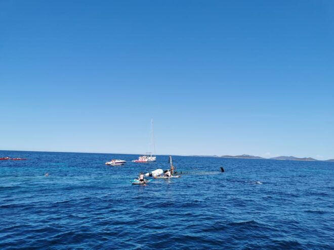 From Zadar: Sakarun Beach Private Speed Boat Tour - Customer Reviews