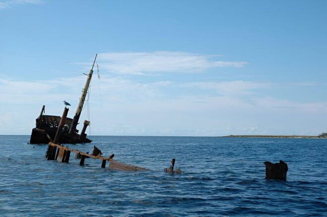 From Zadar: Sakarun Beach Private Speed Boat Tour - Itinerary Highlights
