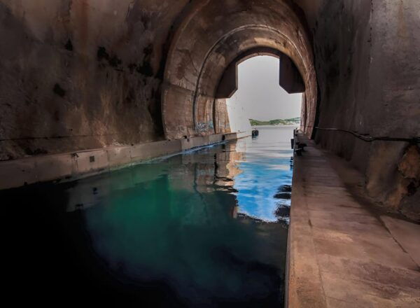From Zadar: Sakarun Beach Private Speed Boat Tour - Tour Inclusions