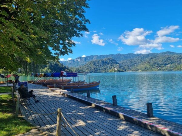 From Zagreb: Exclusive Private Day Tour to Bled & Ljubljana - Personalized Tour Experience