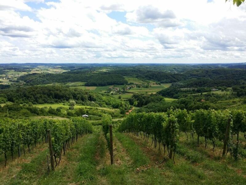 From Zagreb: Fairytale Castle & Wine Tasting & Lunch - Exploring the Croatian Countryside and Trakoscan Castle