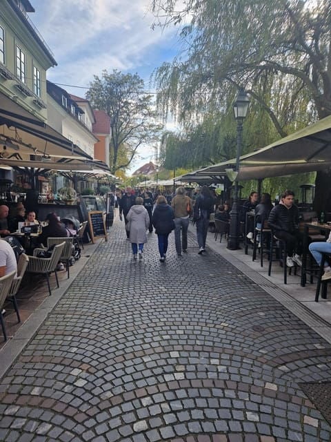 From Zagreb: Ljubljana and Lake Bled Private Day Tour - Why Choose This Tour? A Deep Dive into What You’ll Experience
