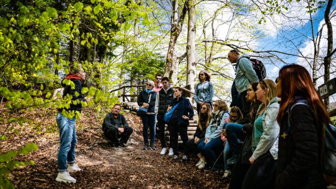 From Zagreb: Plitvice Lakes National Park Full-Day Tour - Inclusions and Important Information