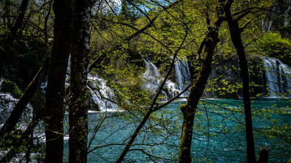 From Zagreb: Plitvice Lakes National Park Full-Day Tour - Tips for Your Visit
