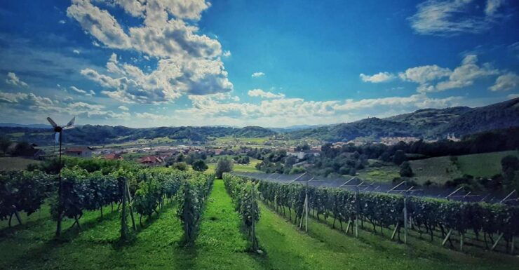 From Zagreb: Samobor & Plesivica Wine Road, Private - Tour Highlights & Inclusions