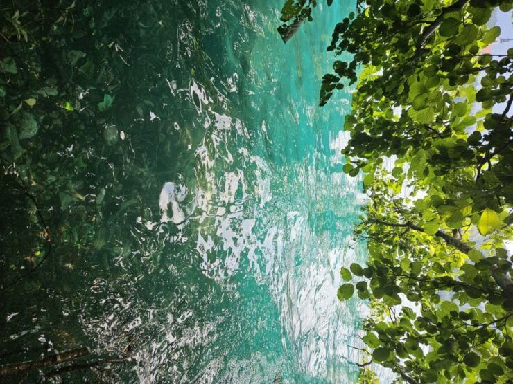 From Zagreb to Bled Lake Slovenia Day Trip - Booking Details