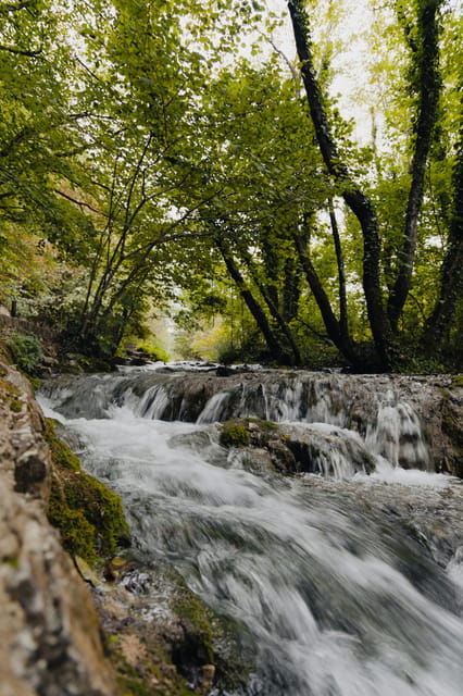 From Zagreb to Plitvice Lakes and Rastoke - Private day tour - Final Thoughts