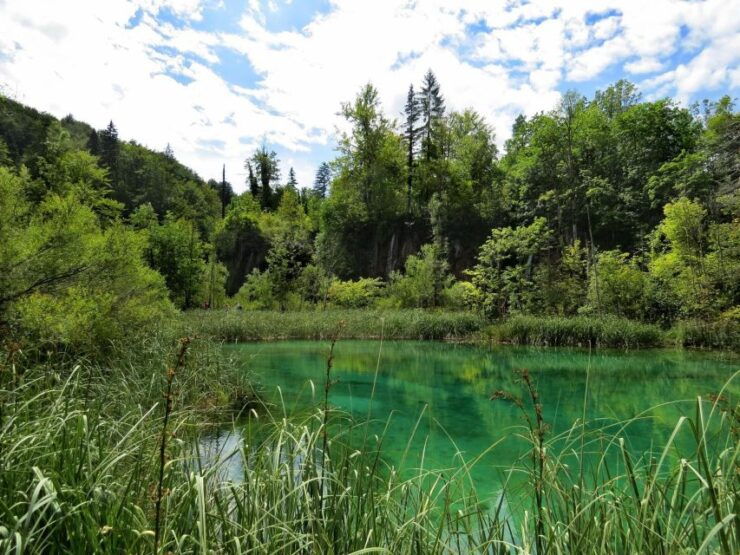 From Zagreb to Split: Plitvice Lakes Private Tour - Tour Experience