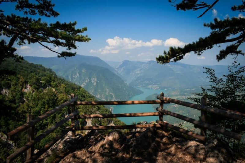 From Zlatibor/Uice: Tara National Park Adventure - An in-depth look at the Tara National Park Adventure