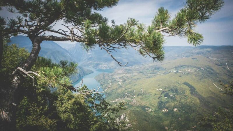 From Zlatibor/Uice: Tara National Park Adventure - Who Would Enjoy This Tour?