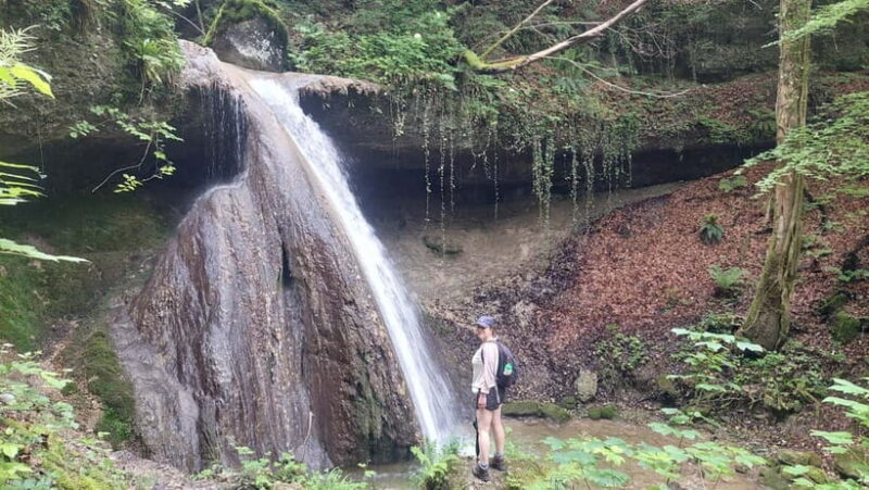 From Zug: Lorze Valley Forest Hike with Guide and Bus - Exploring the Lorze Valley: A Guided Forest Hike from Zug