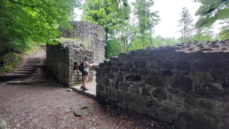 From Zug: Lorze Valley Forest Hike with Guide and Bus - Good To Know