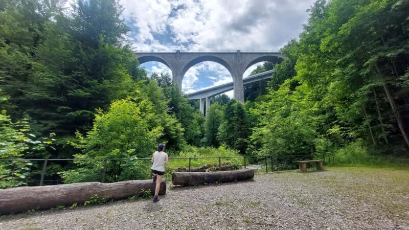 From Zug: Lorze Valley Forest Hike with Guide and Bus - Why This Tour Works Well
