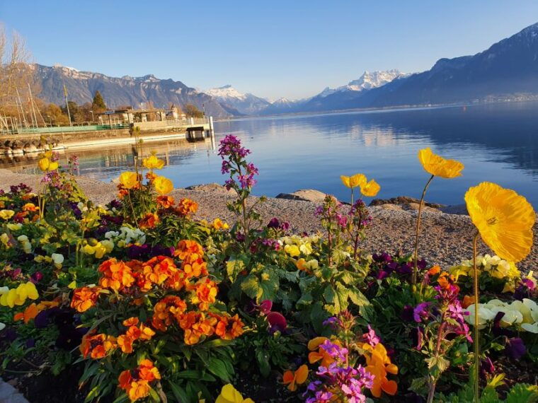 From Zurich: 7-Day Tour to Geneva With Tickets and Lodging - Participant Requirements and Restrictions