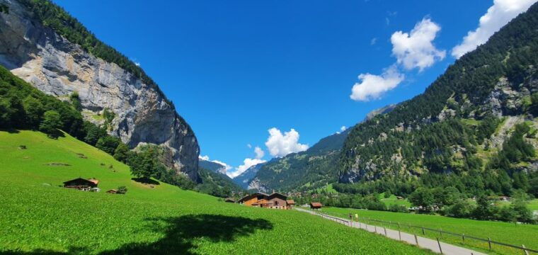 From Zurich: 7-Day Tour to Geneva With Tickets and Lodging - Customer Feedback and Guide Experience