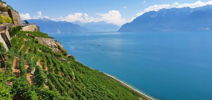 From Zurich: 7-Day Tour to Geneva With Tickets and Lodging - Exploring Zurich and the Rhine Falls
