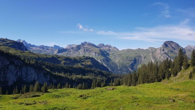 From Zürich: Alphorn Day at Glattalp - Instructor Information