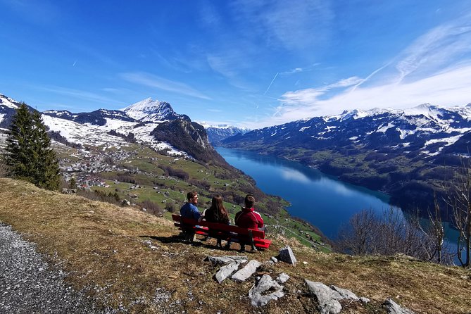From Zurich: Breathtaking Waterfall and Lakes Private Tour - Expert Tour Guide
