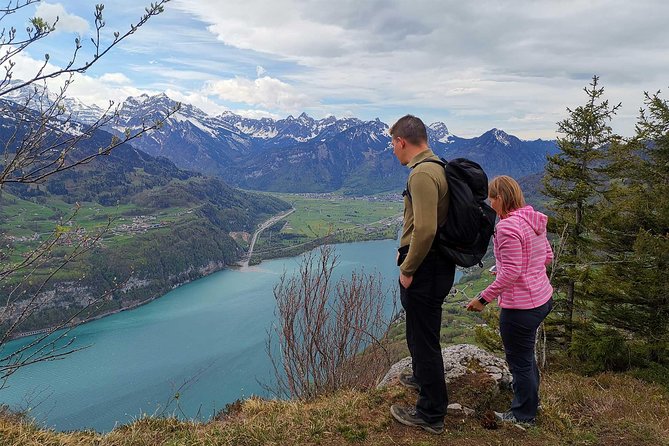 From Zurich: Breathtaking Waterfall and Lakes Private Tour - Reviews