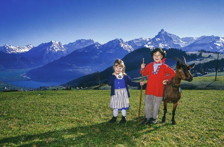From Zurich: Bus Day Trip to Heidiland and Liechtenstein - Sightseeing Experience