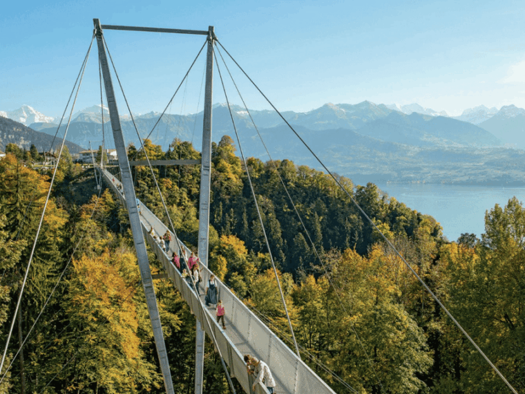 From Zurich: Crash Landing on You Private Day Trip - Customer Feedback and Ratings