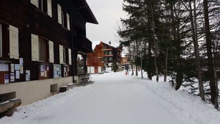 From Zürich: Exclusive Private Tour to Mt. Schilthorn - Inclusions and Exclusions